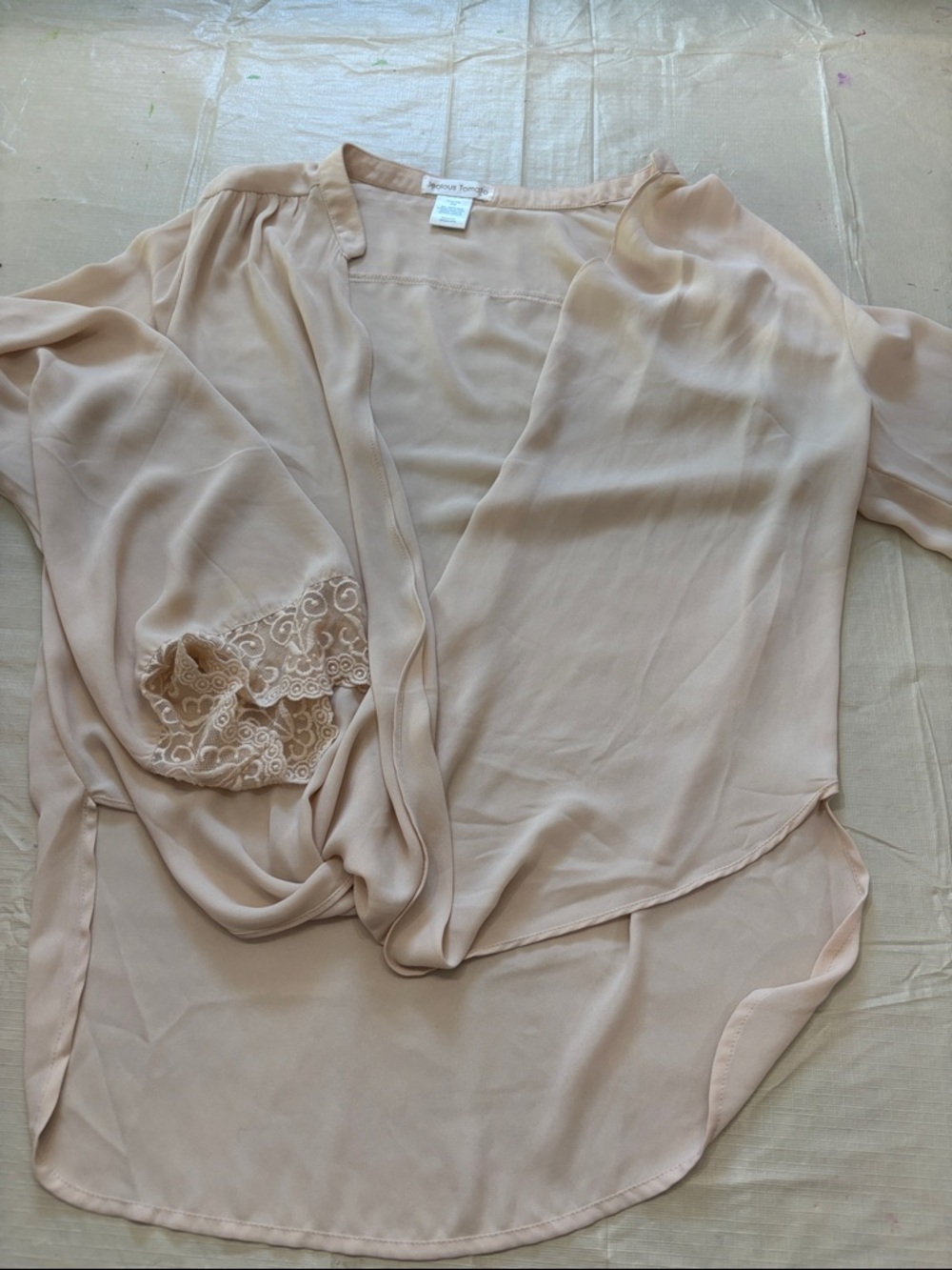 ⭐️2/$10 - Light Beige Sheer Blouse with Lace Detail